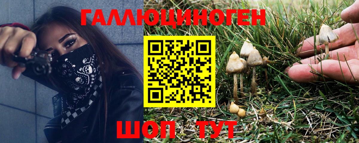Южноуральск  Псилоцибиновые грибы Psilocybine cubensis  Галлюциногенные грибы мухоморы  Вход с VPN 